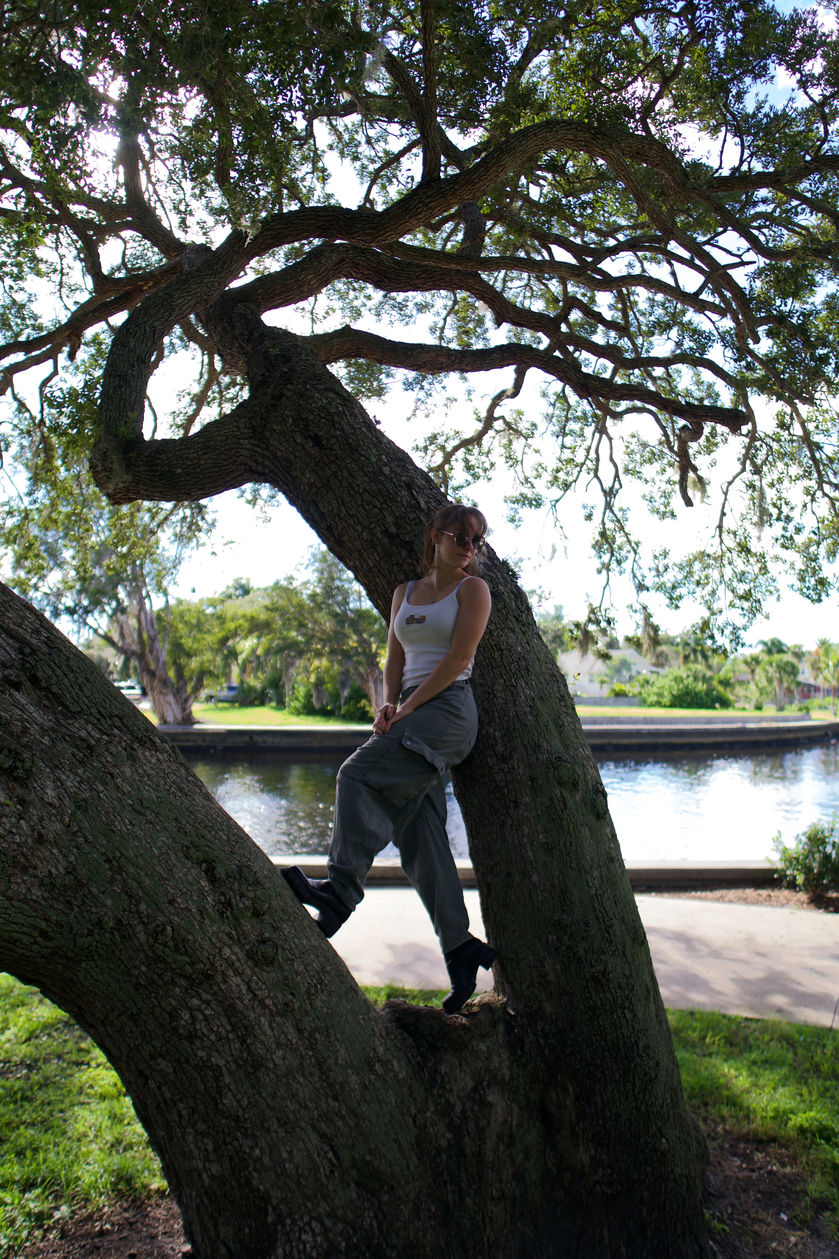 A woman standing at the base of a leaning live oak, marina and water behind