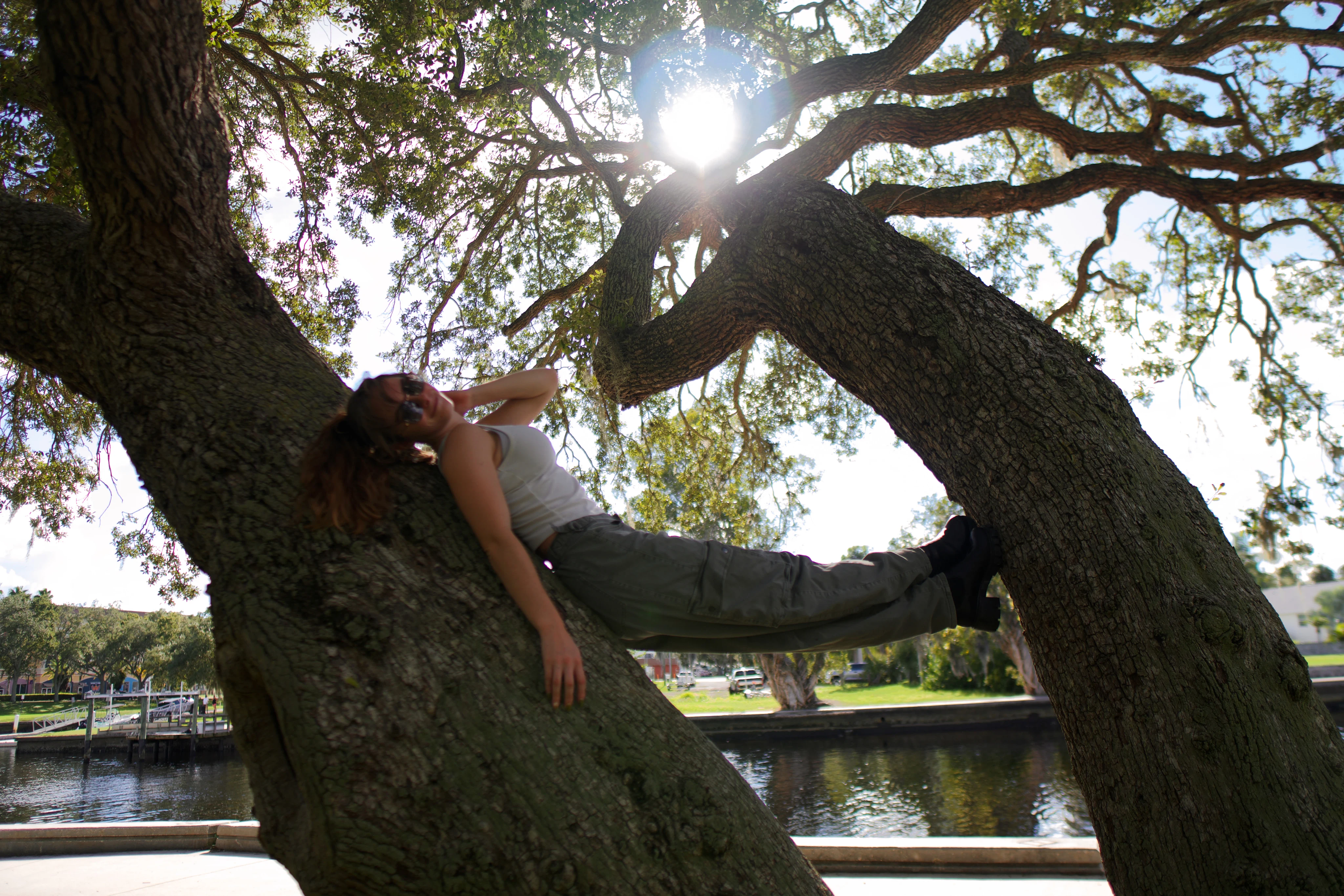 A woman lying back along a low oak branch, sun flaring through the canopy