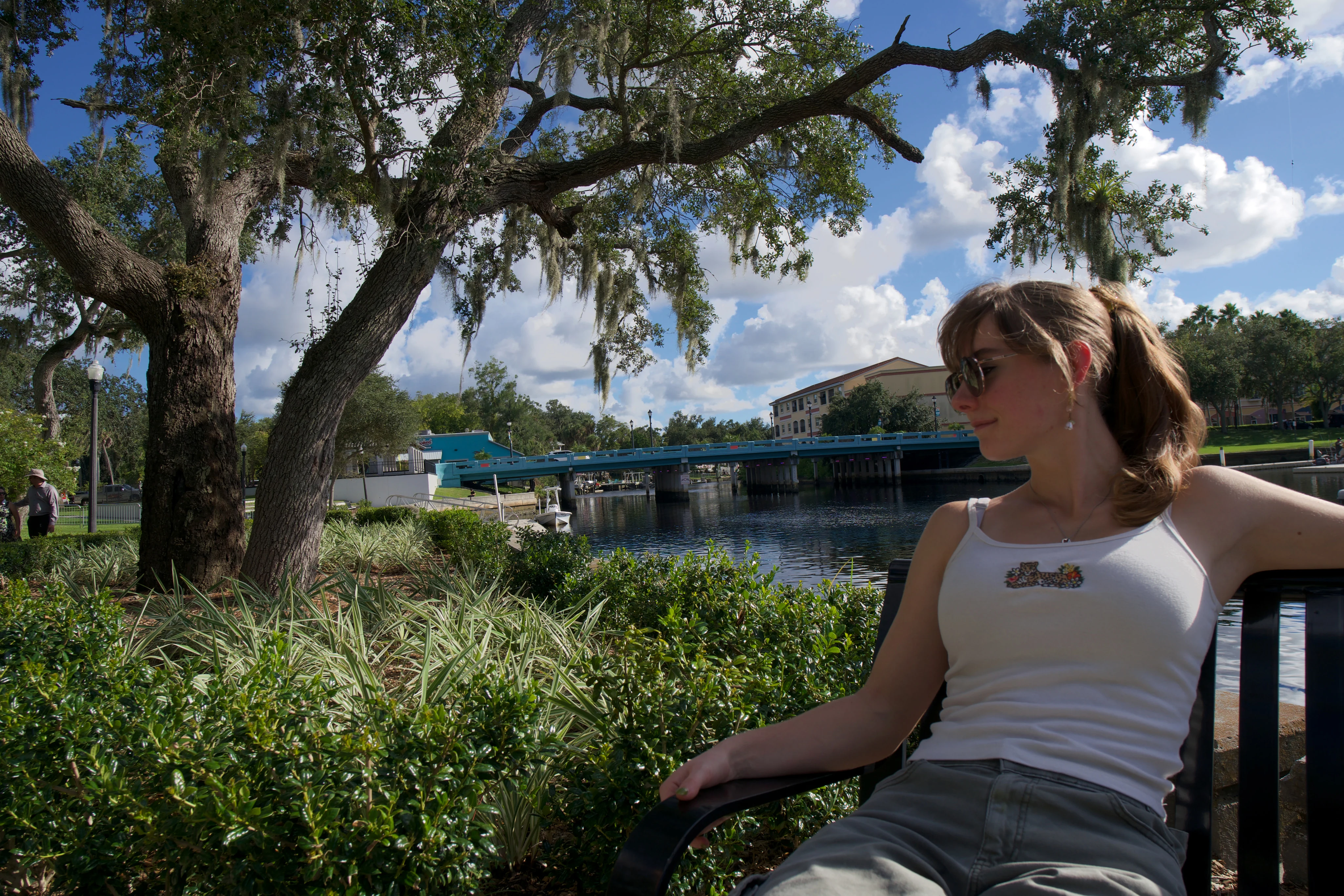 A woman on a bench framed by a live oak, marina behind